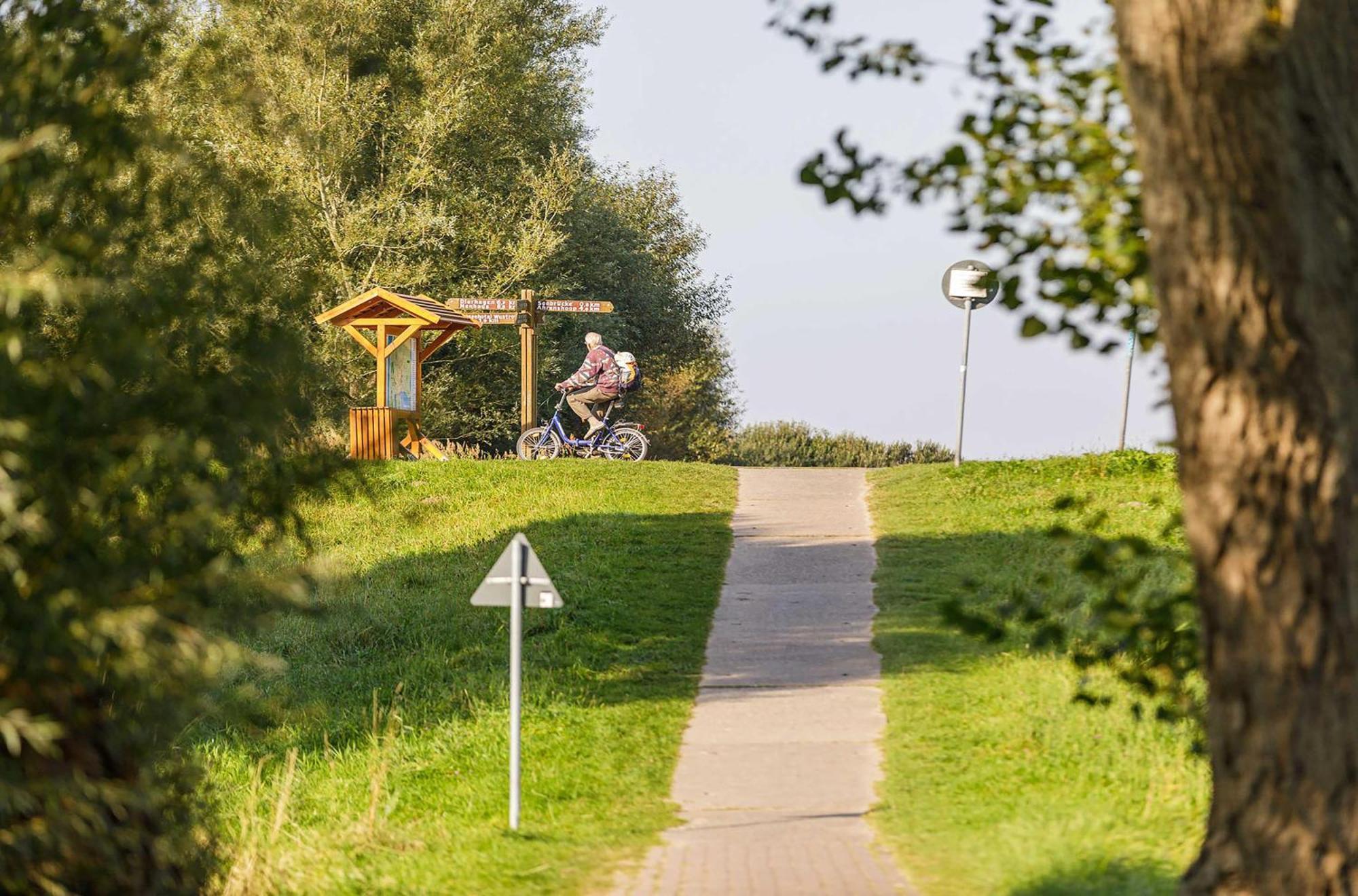 Duenenrast In Der Seefahrtschule * Wustrow (Fischland)